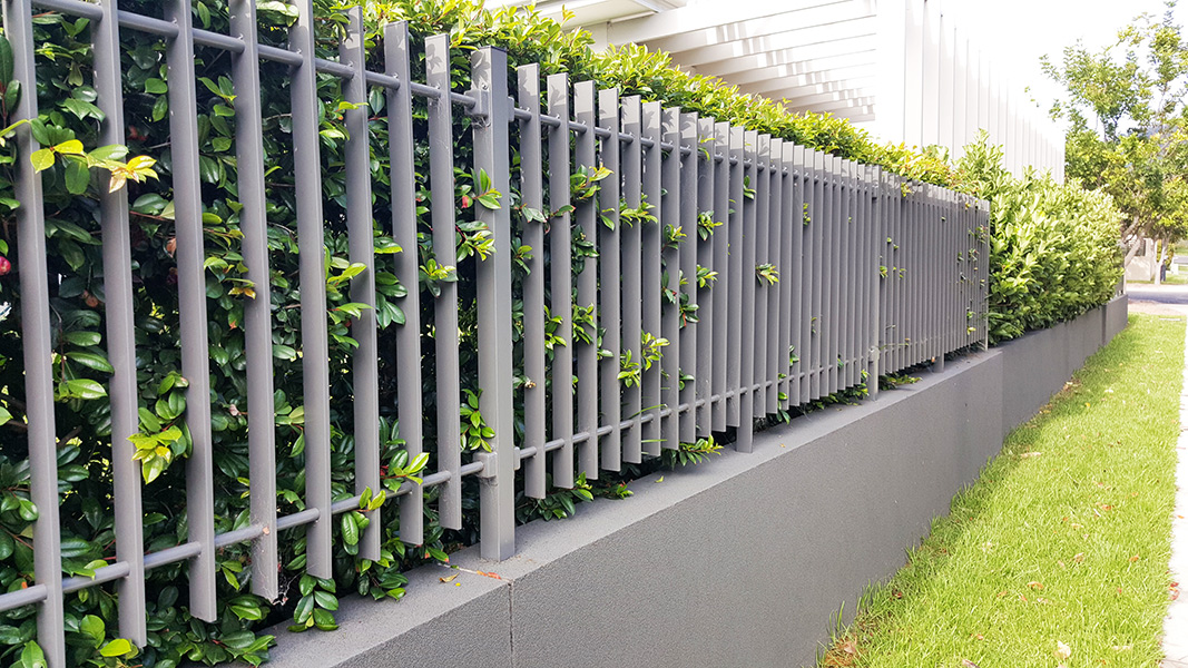 Front boundary fence